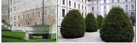<p>Wat zie je op deze fotos?</p>