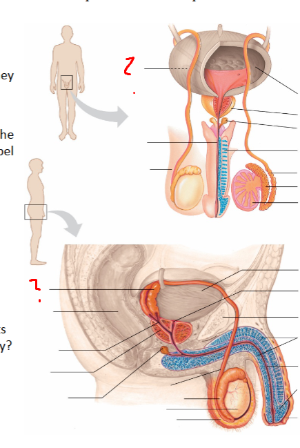 <p>what + define</p>