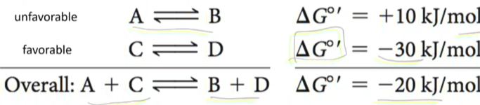 <p>coupling unfavorable reactions with favorable ones that release energy<br><br>used across so many different pathways in the cells such the formations of peptides, pumping, etc</p>