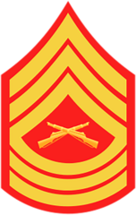 <p>Marine Corps: E-8</p>