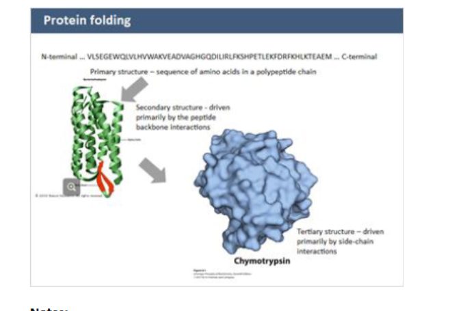 <ul><li><p>primary structure</p></li><li><p>secondary structure </p></li><li><p>tertiary structure </p></li></ul><p></p>