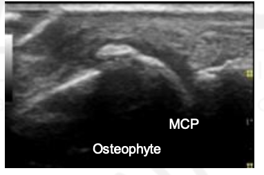 <p>What is this?</p>