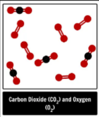 <p>element, compound or mixture?</p>