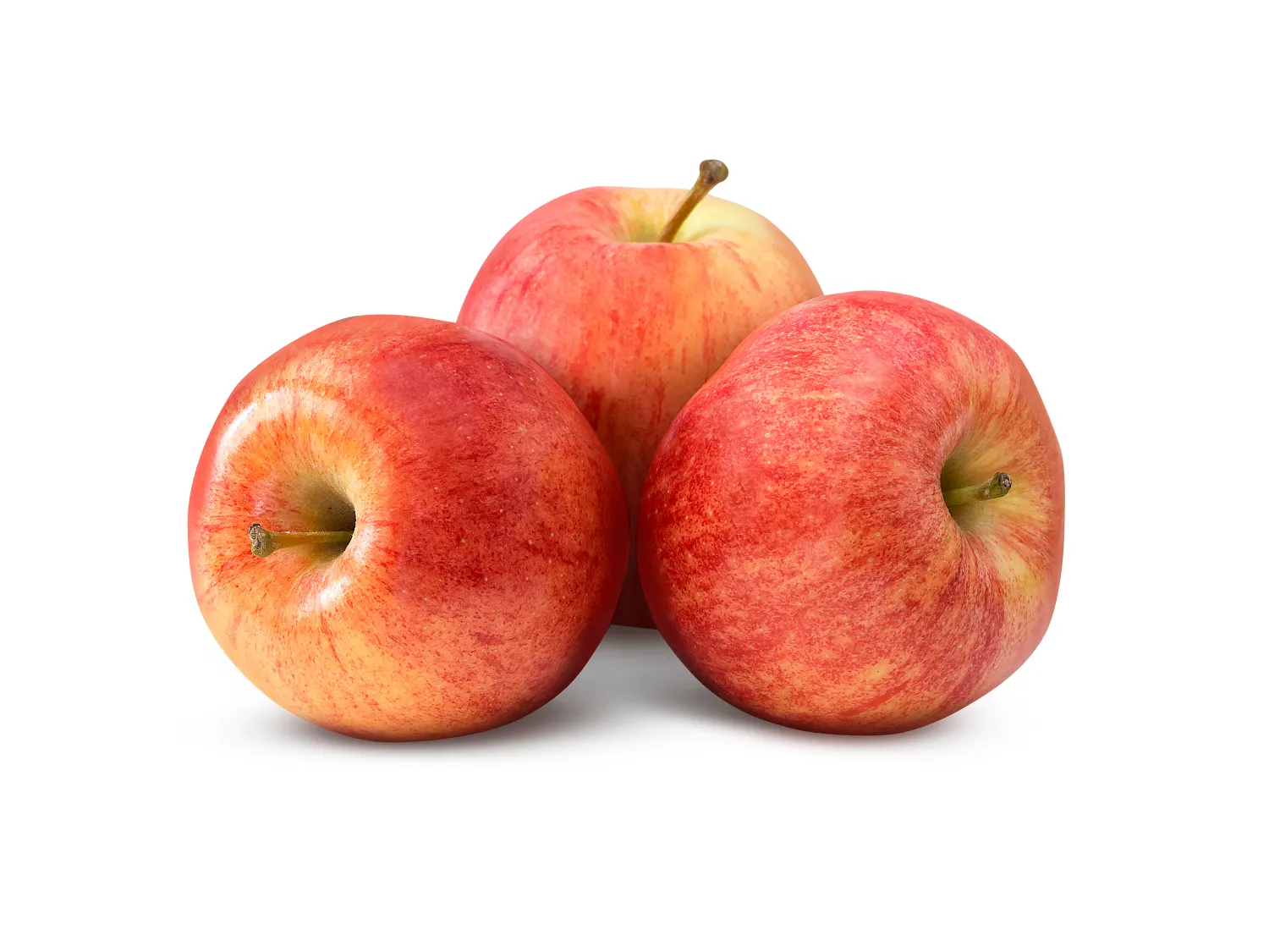 <p>Gala Apples</p>