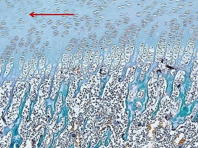 <p>Cấu trúc gì ?</p>