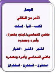 <ul><li><p>الأمر من الثلاثي</p></li><li><p>الماضي الخماسي</p></li><li><p>الماضي السداسي</p></li></ul><p></p>