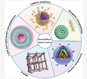 <ul><li><p>Lipid based Nanoparticles (LNPs)</p></li><li><p>Lipid—Polymer Hybrid Nanoparticles</p></li><li><p>Extracellular vesicles</p></li><li><p>inorganic nanoparticles</p></li><li><p>cationic nanoparticles </p></li></ul><p></p>