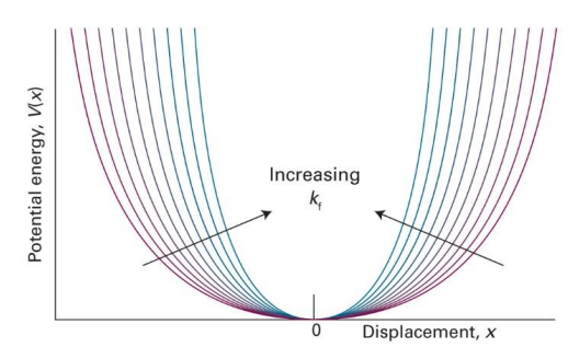 <p>what is k in this graph? (equation)</p>