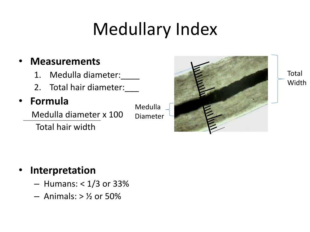 <p>Diameter of medulla / Diameter of hair shaft</p>