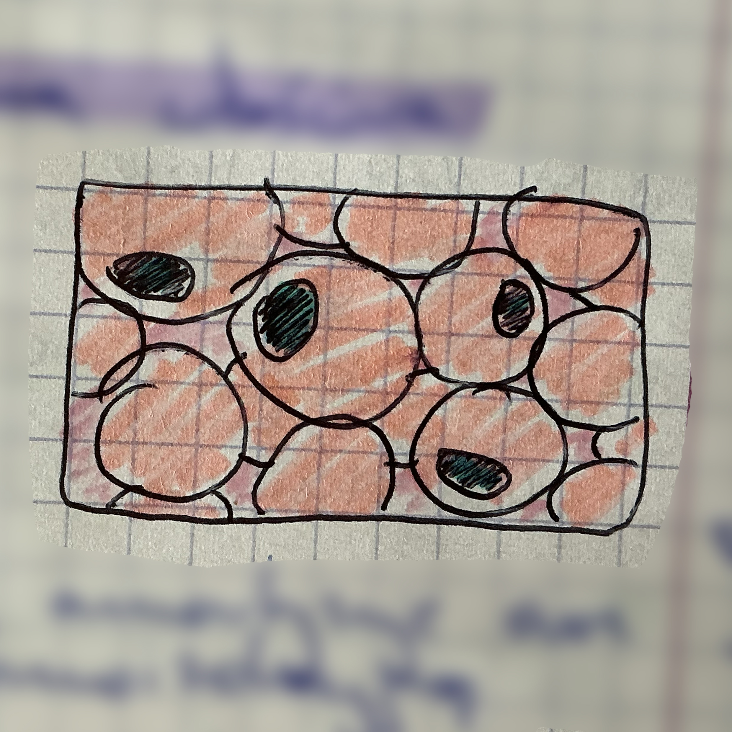 <p>jaka to tkanka?</p>