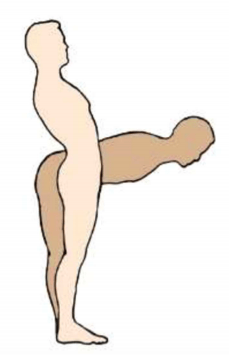 <p>The vertebral column can engage in three types of movement. </p><p>This image shows what movement of the vertebral column?</p>