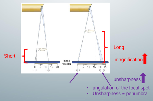 <p>-minimize</p><p>-long distance: the projected image on the receptor will be magnified because x-rays diverge</p><p>-short distance: projected image on receptor will not be as magnified</p><p>-width of blue x ray beam at end of object in long distance: width greater because more x-ray photons are hitting this end of the object due to the angulation of the focal spot (where x-rays are produced)’ gives us more projections at this end of the object on the receptor</p><p>-^sum of these projections captured on the receptor as an area of unsharpness (<strong>penumbra</strong>)</p><p>-by decreasing the distance between the object and the image receptor, we can decrease the magnification of the object and increase its sharpness </p>