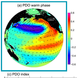 <ul><li><p>Higher than normal SST extends from North America towards, and across, equator</p></li><li><p>More rapid global warming </p></li><li><p>Horseshoe warm front, warmer off Western USA</p></li></ul><p></p>