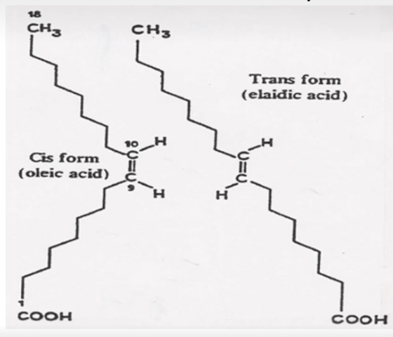 <ul><li><p>same number of carbons and the double bond is in the same location as the cis molecule</p></li><li><p>but the strings of carbons on either side of the double bond are on opposite sides of the carbon associated with the double bond</p></li><li><p>trans fatty acids are associated with a much higher risk of heart disease than the cis form<br>   - this form may be as high a the saturated fatty acids</p></li></ul><p></p>