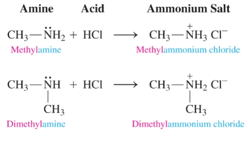 <p>Neutralizing amines with acids leads to the formation of only ammonium salts. Ammonium salts do not boil in most cases. Common salts are ammonium</p><p>chlorides and ammonium bromides</p>