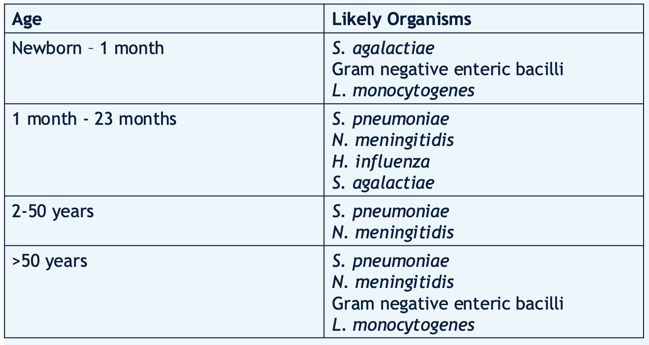 <p>Newborn-1 month </p><ul><li><p>S. agalactiae </p></li><li><p>Gram negative enteric bacilli </p></li><li><p>L. monocytogenes</p></li></ul><p>1 month - 23 months</p><ul><li><p>H. influenza </p></li><li><p>S. agalactiae</p></li></ul><p>>50 years </p><ul><li><p>Gram negative enteric bacilli </p></li><li><p>L. monocytogenes</p></li></ul><p>**1 month - >50 years → everyone is susceptible to:</p><ul><li><p>S. pneumoniae </p></li><li><p>N. meningitidis</p></li></ul><p></p><p></p>