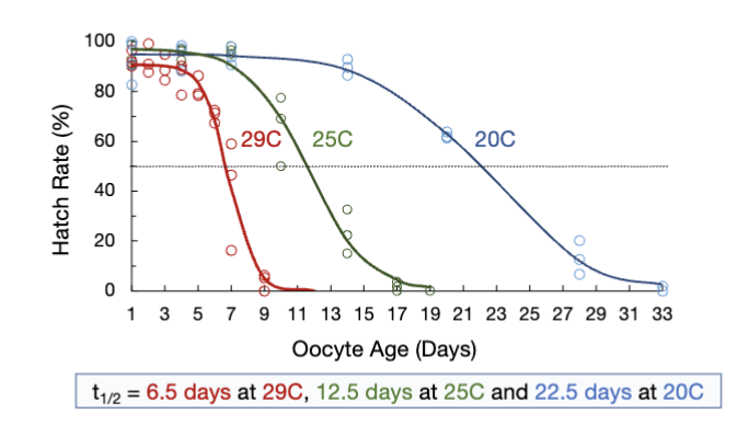 <ul><li><p>tracking hatch rate over time at diff temperatures</p></li><li><p>half-life of oocytes decreases as temp increases</p><ul><li><p>oocyte viability declines over time</p></li></ul></li></ul><p></p>