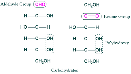 <p><strong>Polyhydroxyl aldehydes</strong>: the carbonyl group is located at the end of the molecule</p><p><strong>Polyhydroxyl ketones</strong>: the carbonyl group is located internally in the molecule</p>