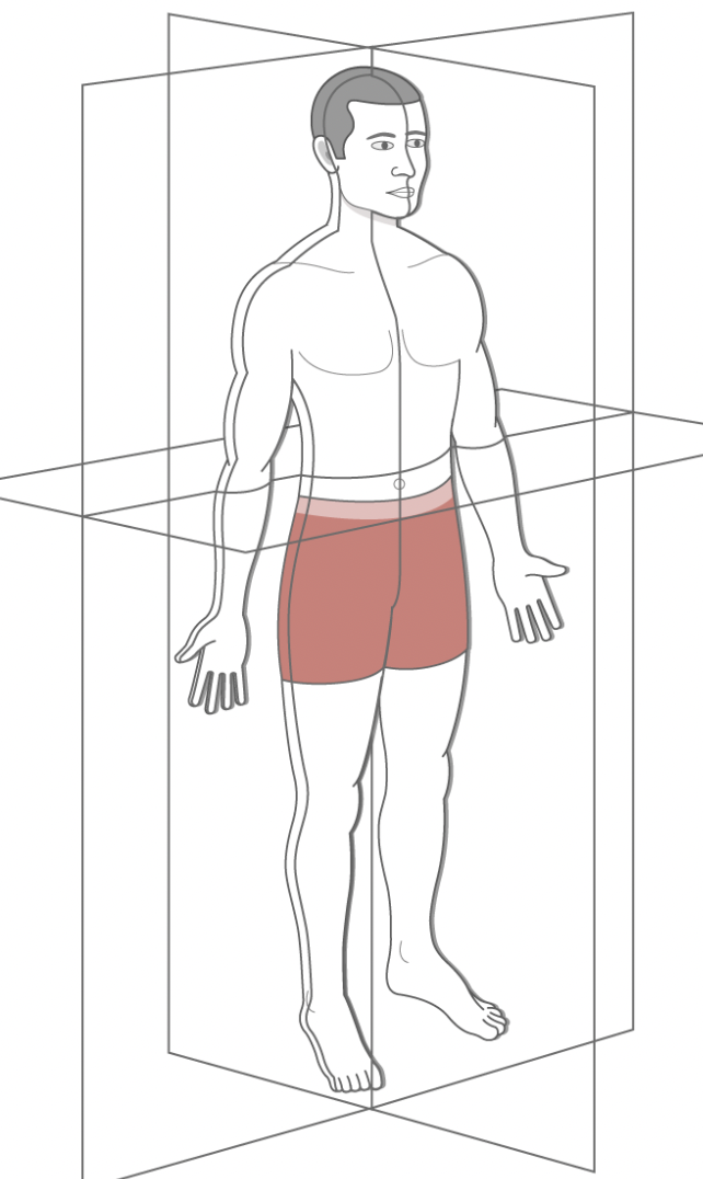 <p>Sagital, midsagittal, transverse</p>