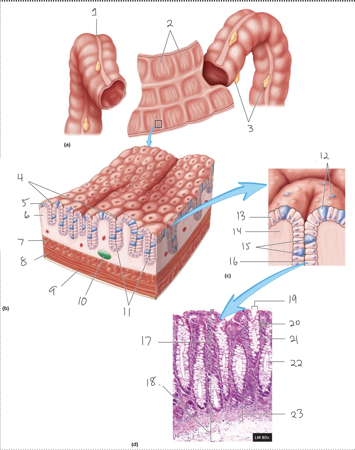<p>1</p>