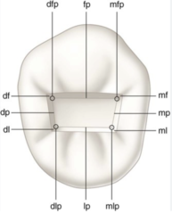 <p>DFP</p>