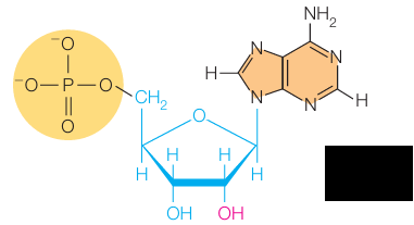 <p>What molecule is this?</p>