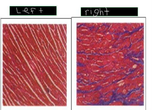 <p>What is on the left and the right?</p>