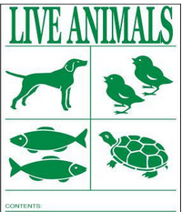<ul><li><p>At least one label must be attached</p><ul><li><p>"Live Animals"</p></li><li><p>"Laboratory Animals"</p></li></ul></li><li><p>Minimum dimensions - 10 x 15 cm label</p></li><li><p>Letter height - 2.5cm (1 inch)</p></li><li><p>"This way up" labels - Must be placed on at least 2 opposite sides</p></li><li><p>Minimum dimensions - 7.4 x 10.5 cm</p></li></ul><p></p>