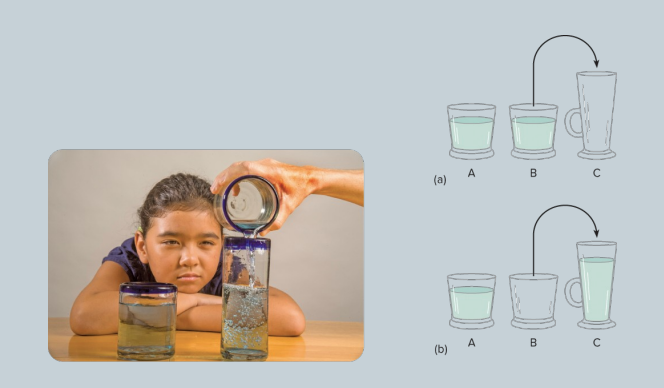 <p>The beaker test is a well-known Piagetian test to determine whether a child can think operationally— that is, can mentally reverse actions and show conservation of the substance. </p><p>(a) Two identical beakers are presented to the child. Then the experimenter pours the liquid from B into C, which is taller and thinner than A or B. </p><p>(b) The child is asked if these beakers (A and C) have the same amount of liquid. The preoperational child says “no.” When asked to point to the beaker that has more liquid, the preoperational child points to the tall, thin beaker.</p>