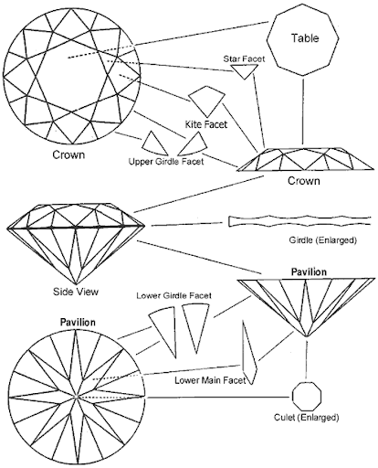 <p>facet</p>