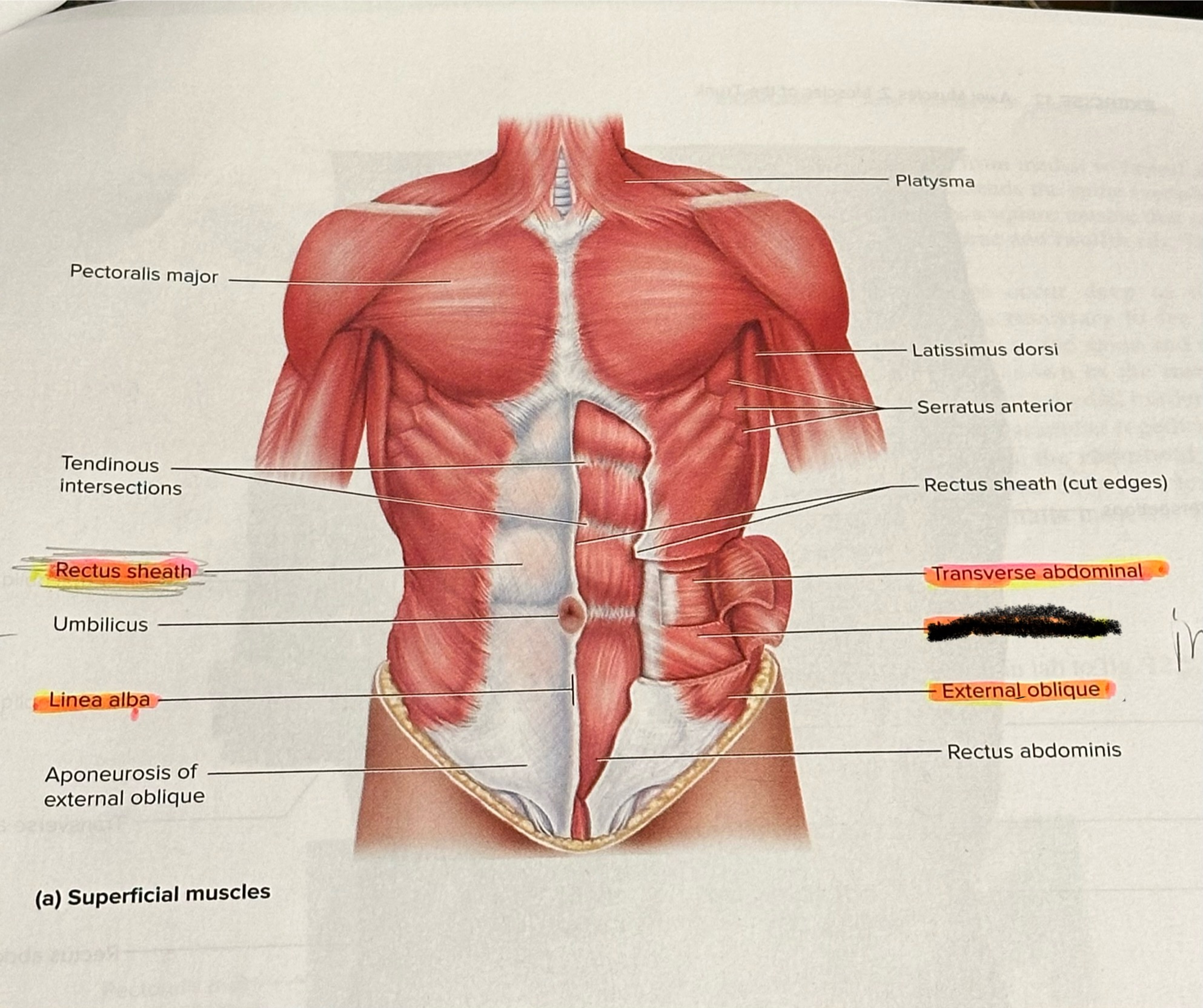 <p>Location crossed out</p>