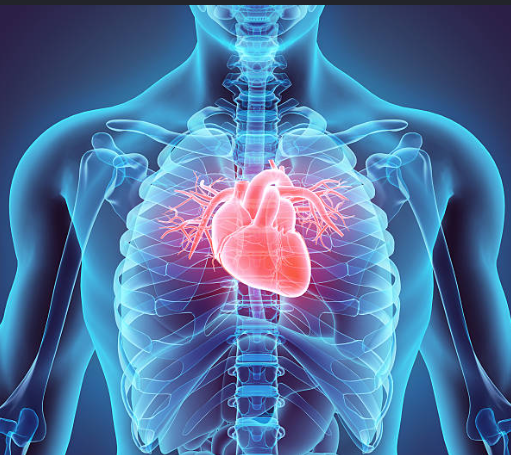 <p>Anatomy - left side of upper chest; Wind Gate - upper/top of naval (12:00)</p>