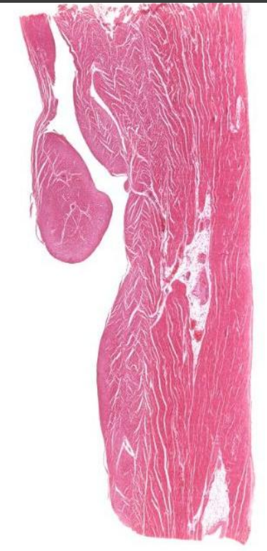 <p>Identify this?</p>