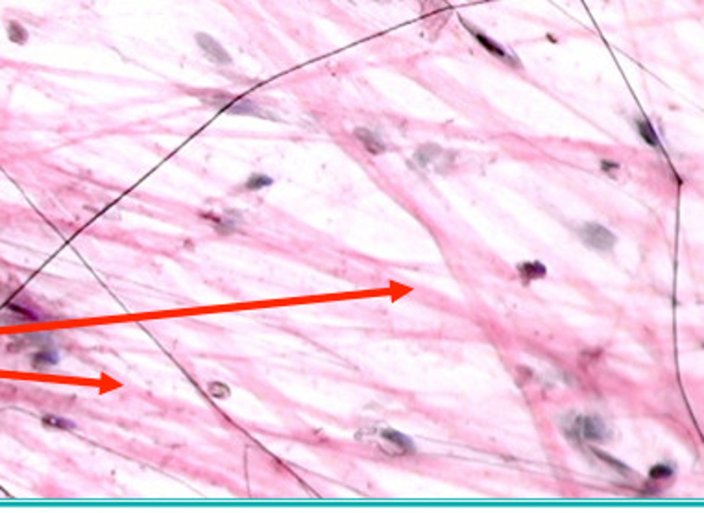 <p>type of structure?</p>