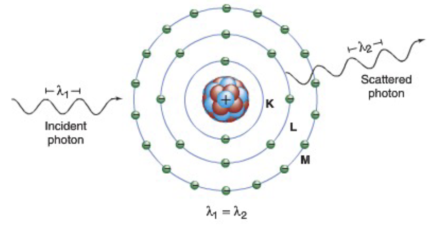 <p>-incident photon interacts with the entire atom without exciting it</p><p>-basically elastic = like billiard ball bouncing off wall of pool table </p><p>-likely at low x-ray energies (few keV)</p><p>-photon energy does not change but angle does change</p><p>-probability of interaction (ie amount of scatter) depends strongly on energy</p>