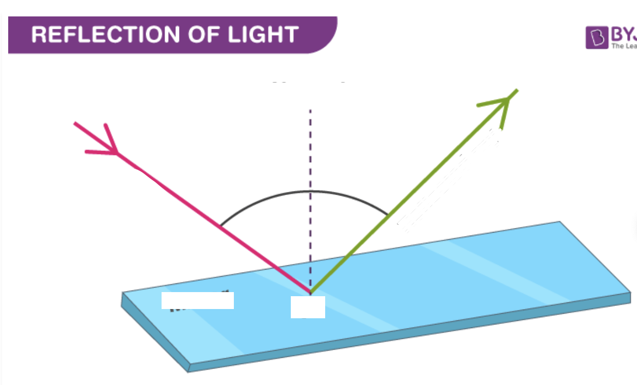 <p>Label the Diagram of Reflection</p>