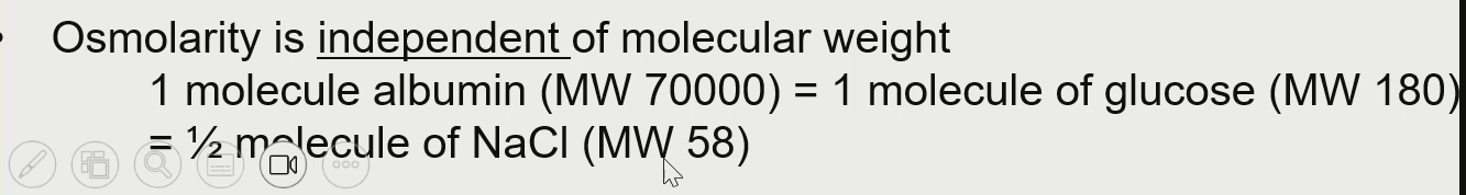 <p>Molecular weight</p>