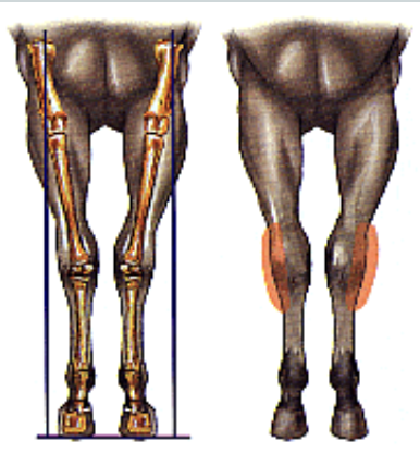 <p>what is this an image of </p>