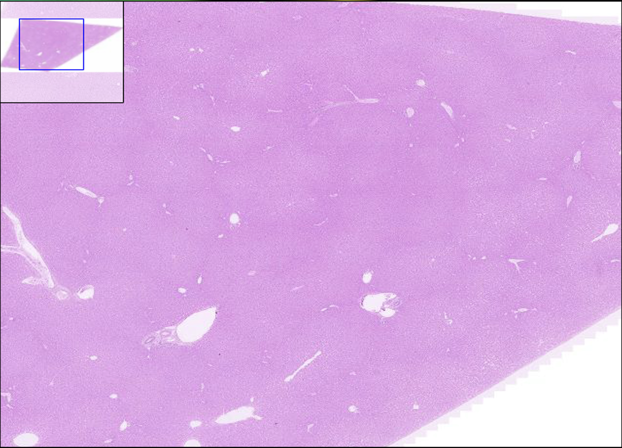 <p>What structure is this?</p>