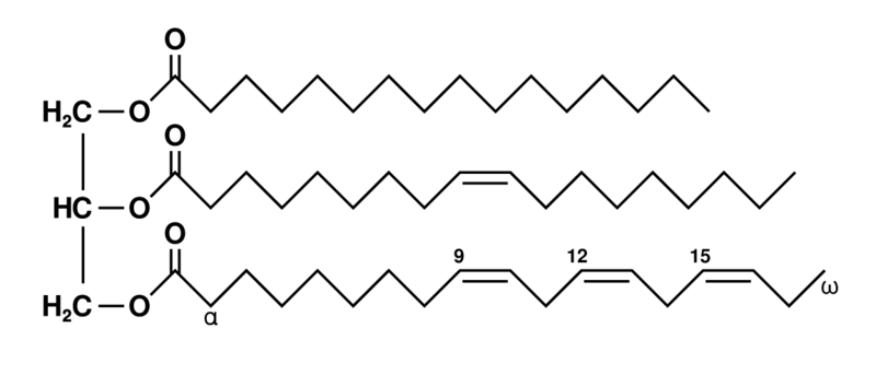<p>Lipid Monomer </p>