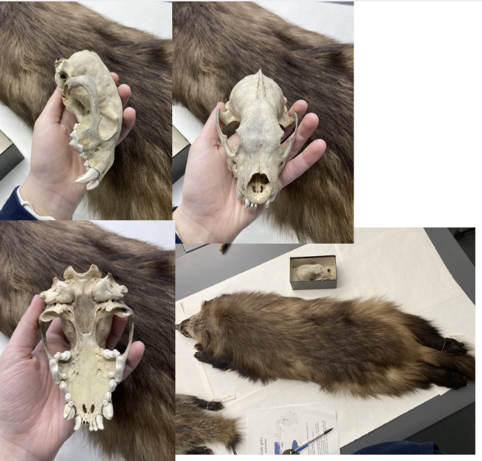 <p>What is this?</p>