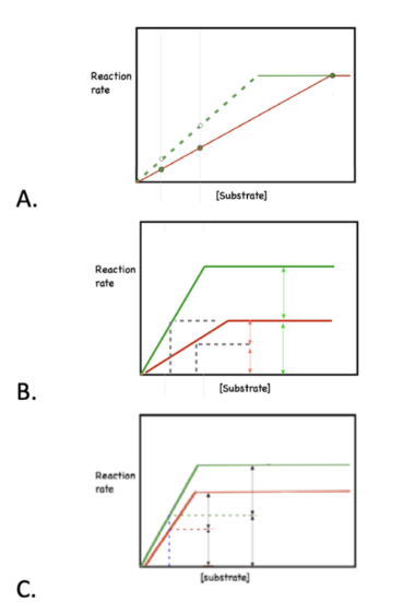 <p>Which graph might represent two quantities of the same enzyme?</p>
