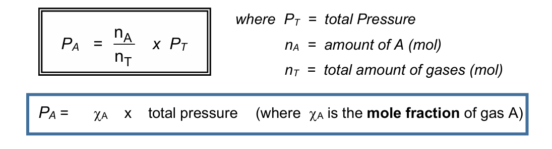 <p><strong>the pressure which the gas would exert if it alone occupies the same volume as the mixture in the container</strong></p><ul><li><p>formula for partial pressure:</p><ul><li><p>P<sub>a</sub> = (n<sub>a</sub>/n<sub>T</sub>) x P<sub>T</sub></p></li></ul></li></ul><p></p>