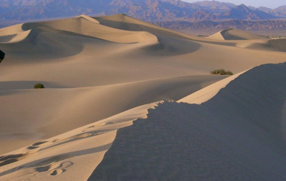 <p>What kind of dune is this?</p>