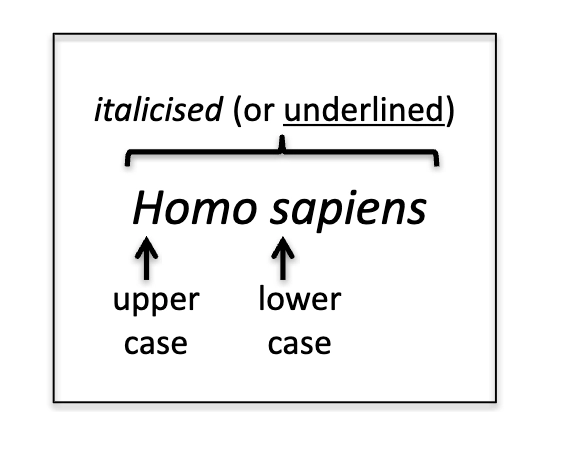 <p></p><ul><li><p>Allows scientists to refer to organisms by the same name</p></li><li><p>use the genus and the species, italicised both and you have an uppercase on the genus name and a lowercase on the species name. </p></li><li><p>domain, kingdom, phylum, class, order, family, genus, species, (danny killed peter cuz ollie forgot gretas song) </p></li></ul><p></p>