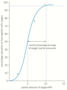 <p>Oxygen dissociation curve: (b) at a higher partial pressure of oxygen what makes it easier to pick up more oxygen?</p>