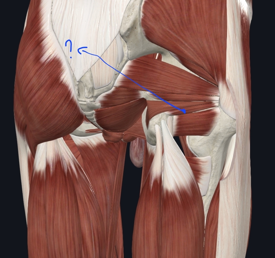 term image