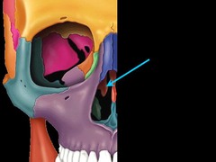 <p>Identify this part.</p>
