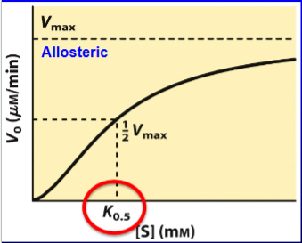 <p>enzymes are when the substrate is the modulator (active site is regulatory site)</p>