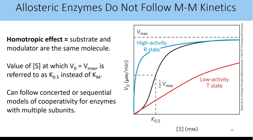 <p>homotropic effect</p><ul><li><p>substrate and modulator are the same molecule</p></li><li><p>value of [s] at which v0 = vmax is referred to as k0.5 instead of km</p></li><li><p>can follow concerted or sequential models of cooperativity for enzymes with multiple subunits</p></li><li><p>R state hsas rapid increase of activity towards vmax compared to lower activity of t state hence the lag of the sigmoidal curve (black line)</p></li></ul><p></p>